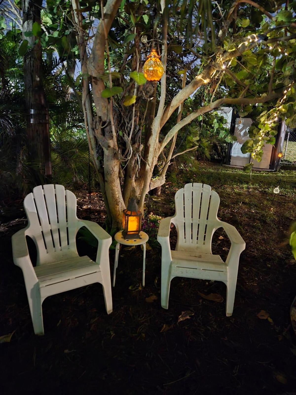 Enchanted Forest In Little Wynwood Ferienhaus